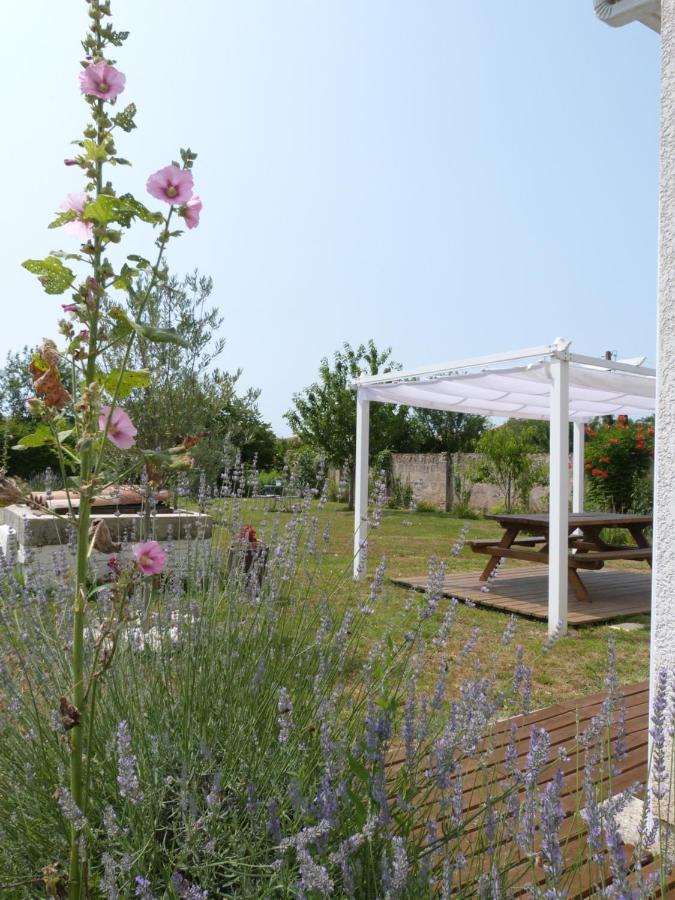 Gite Le Cherche Midi Gaillac Exterior foto